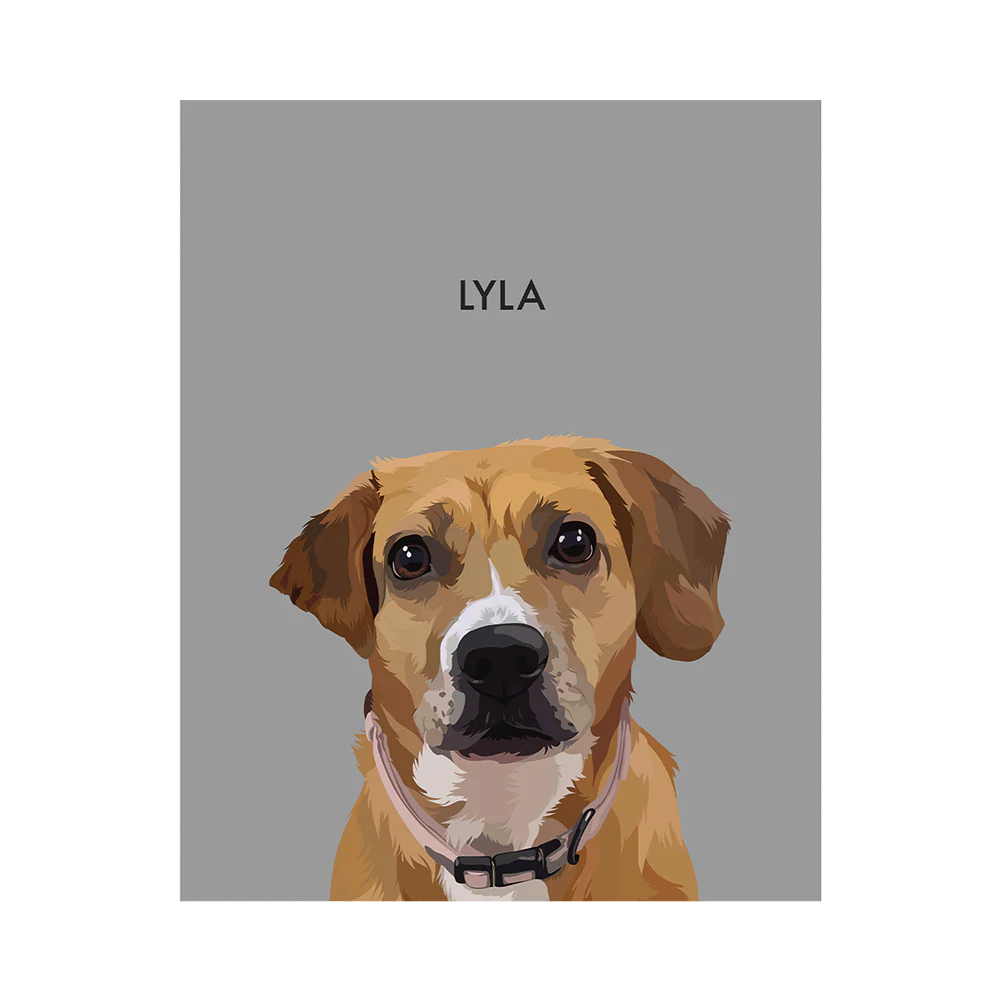 Product image 116