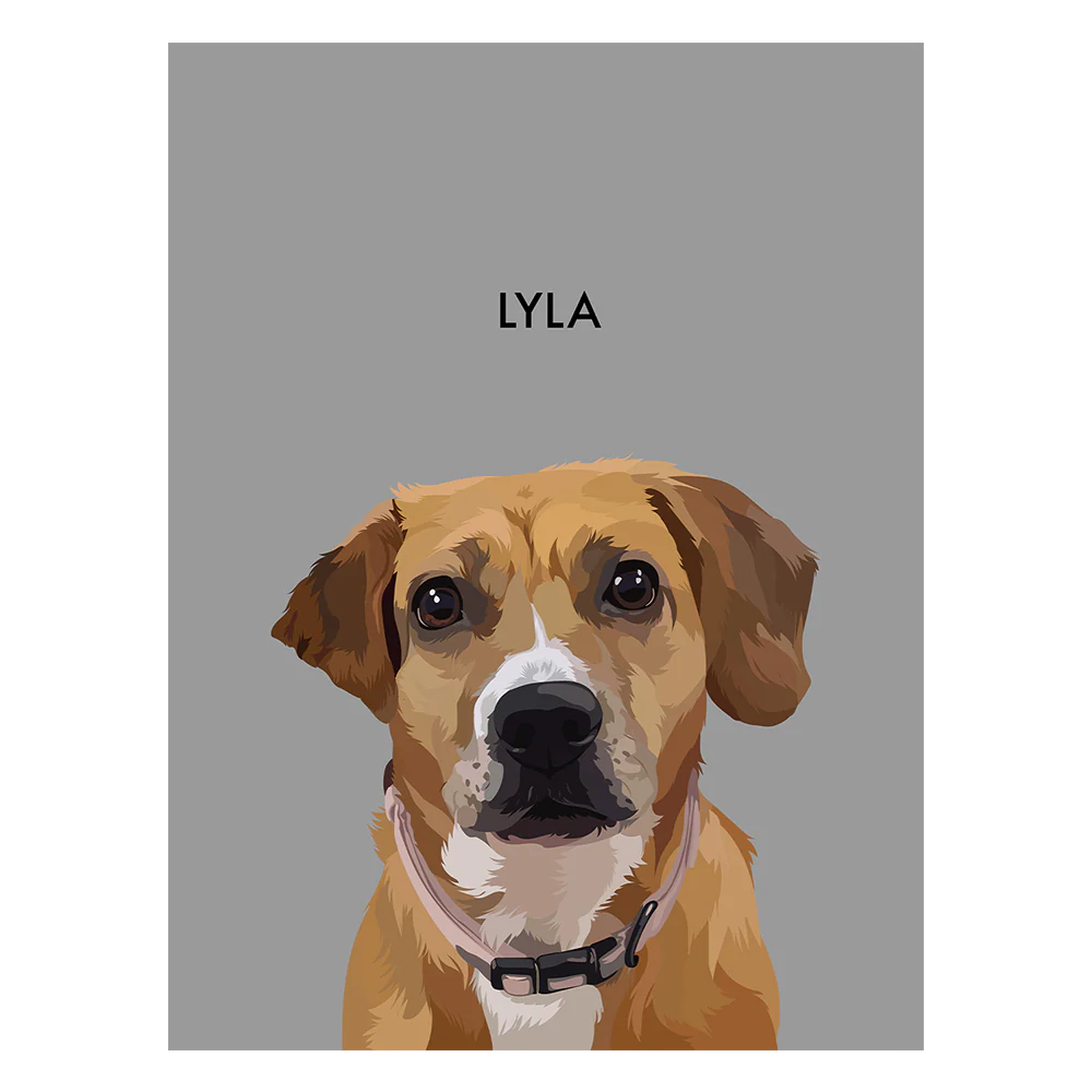 Product image 119
