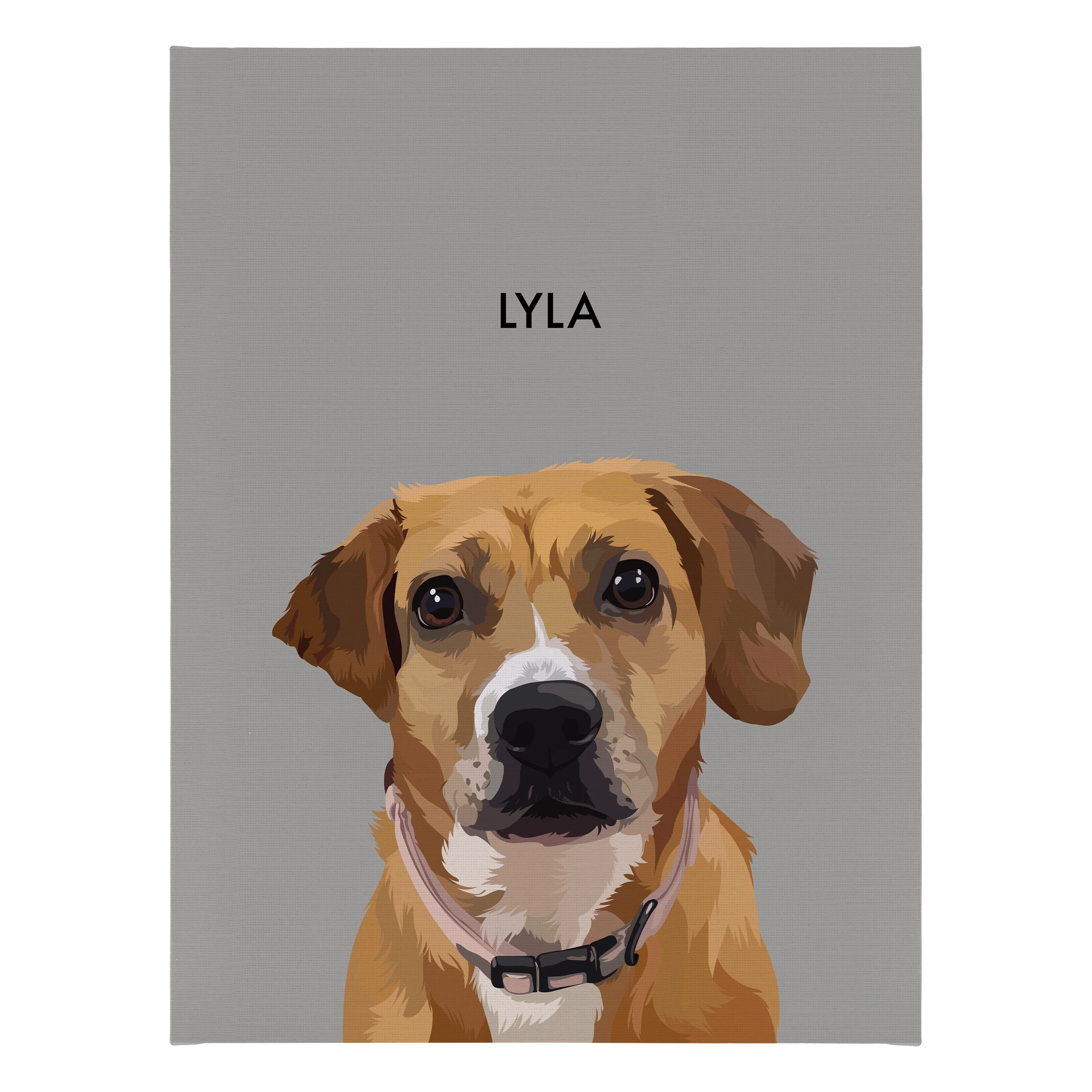 Product image 121