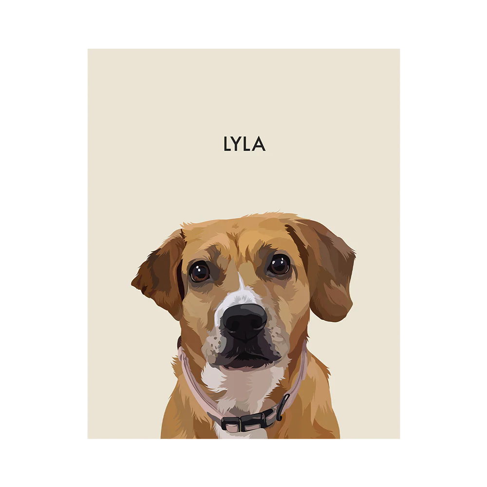 Product image 122