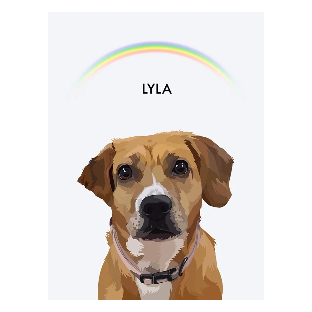 Product image 145