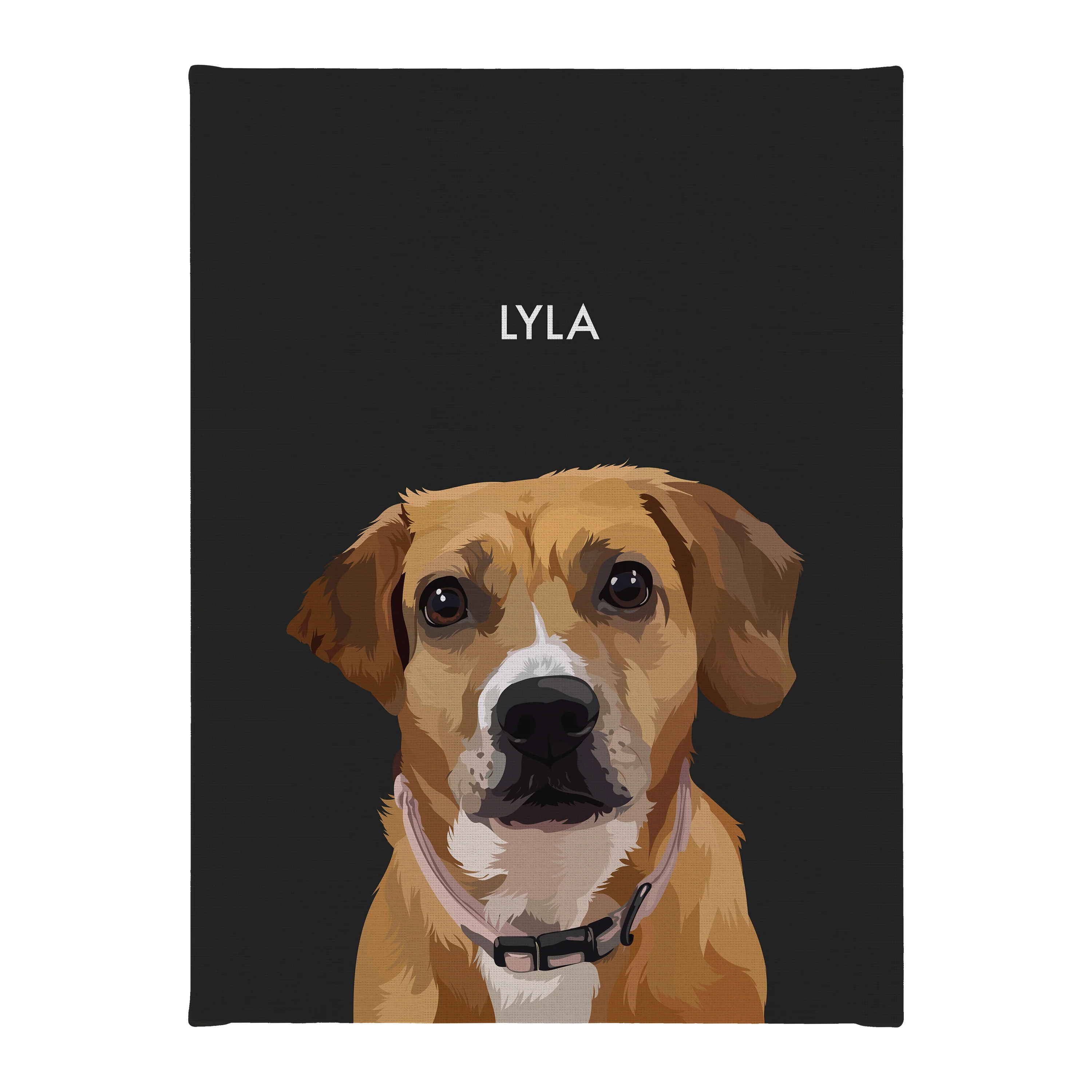 Product image 147