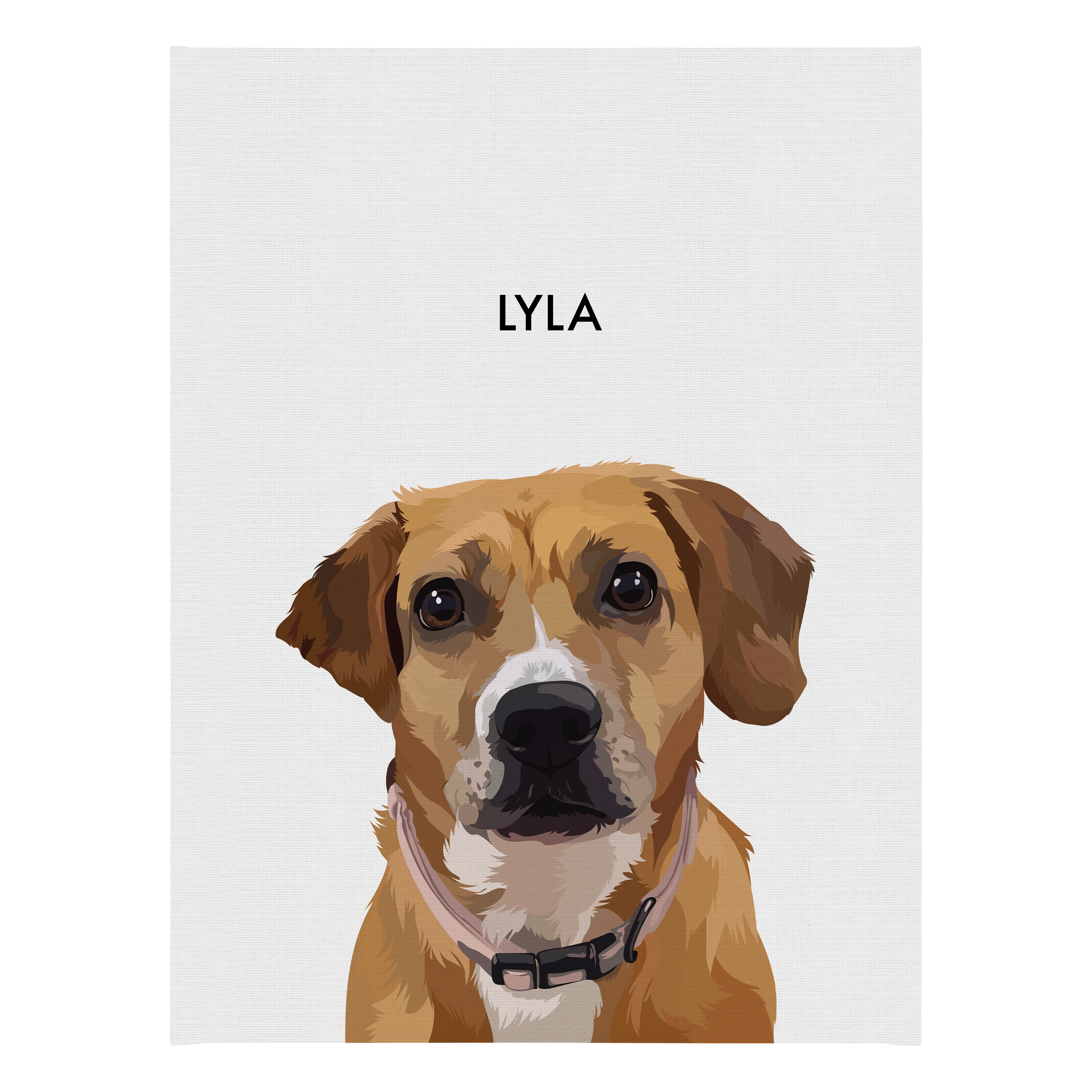 Product image 151