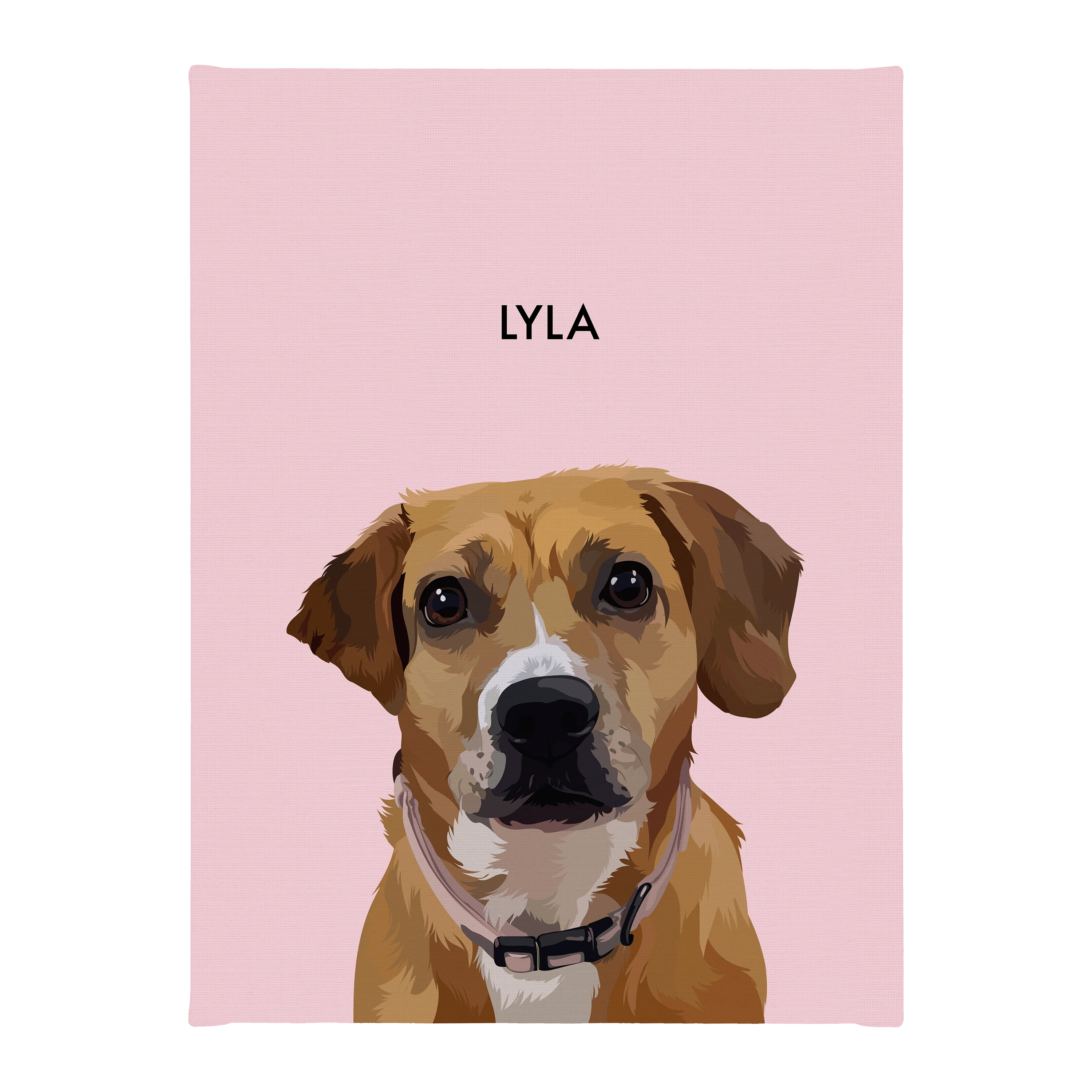 Product image 153