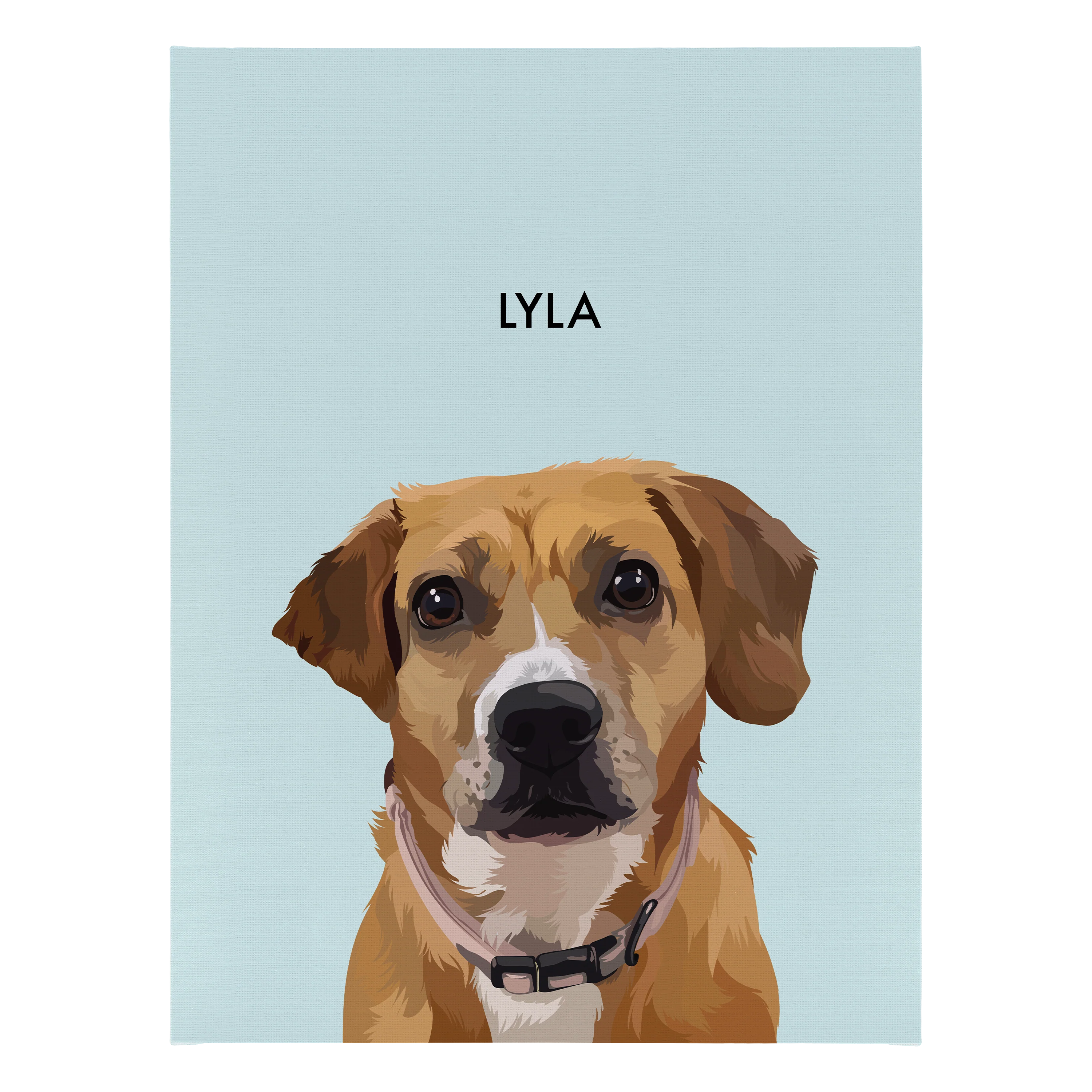 Product image 157