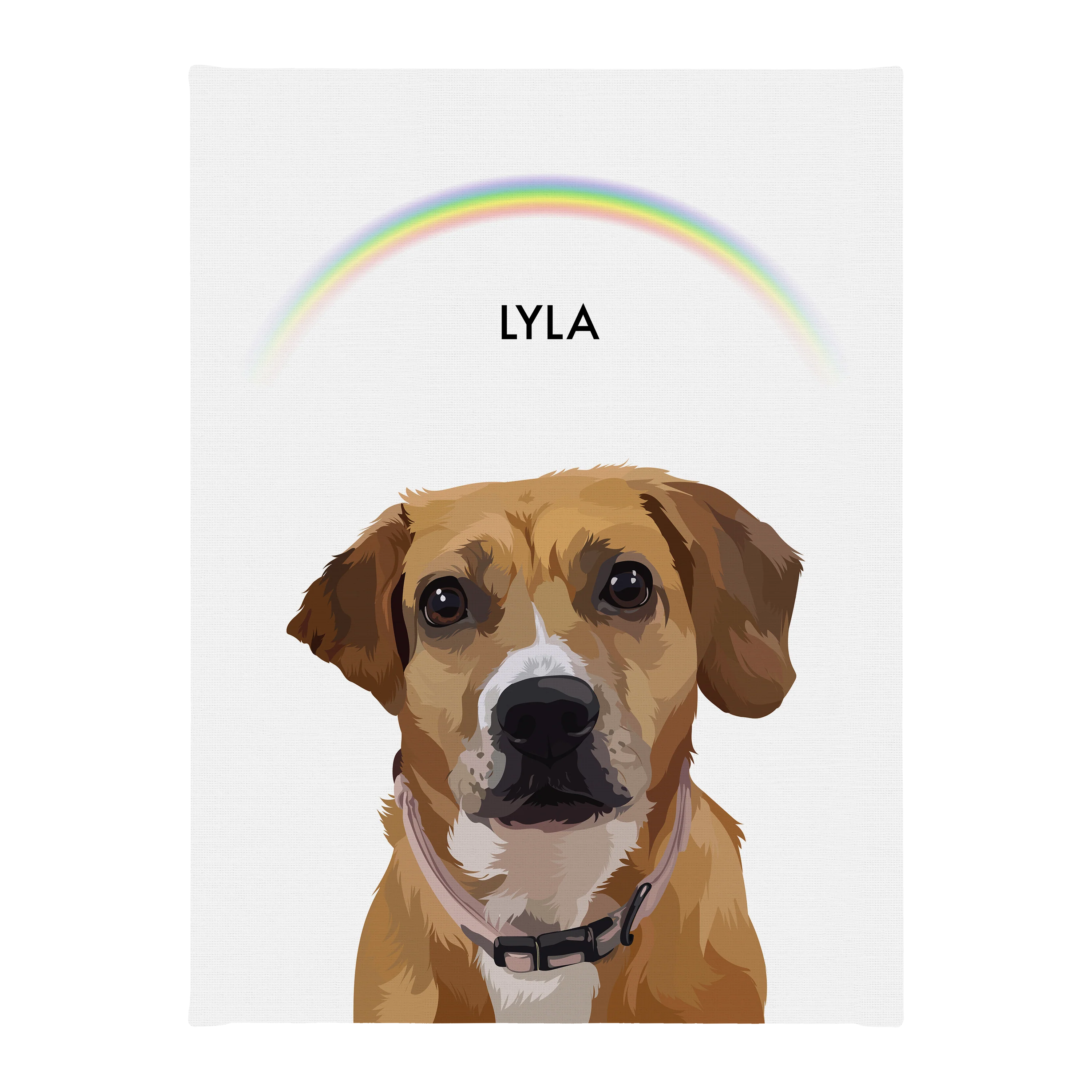 Product image 162
