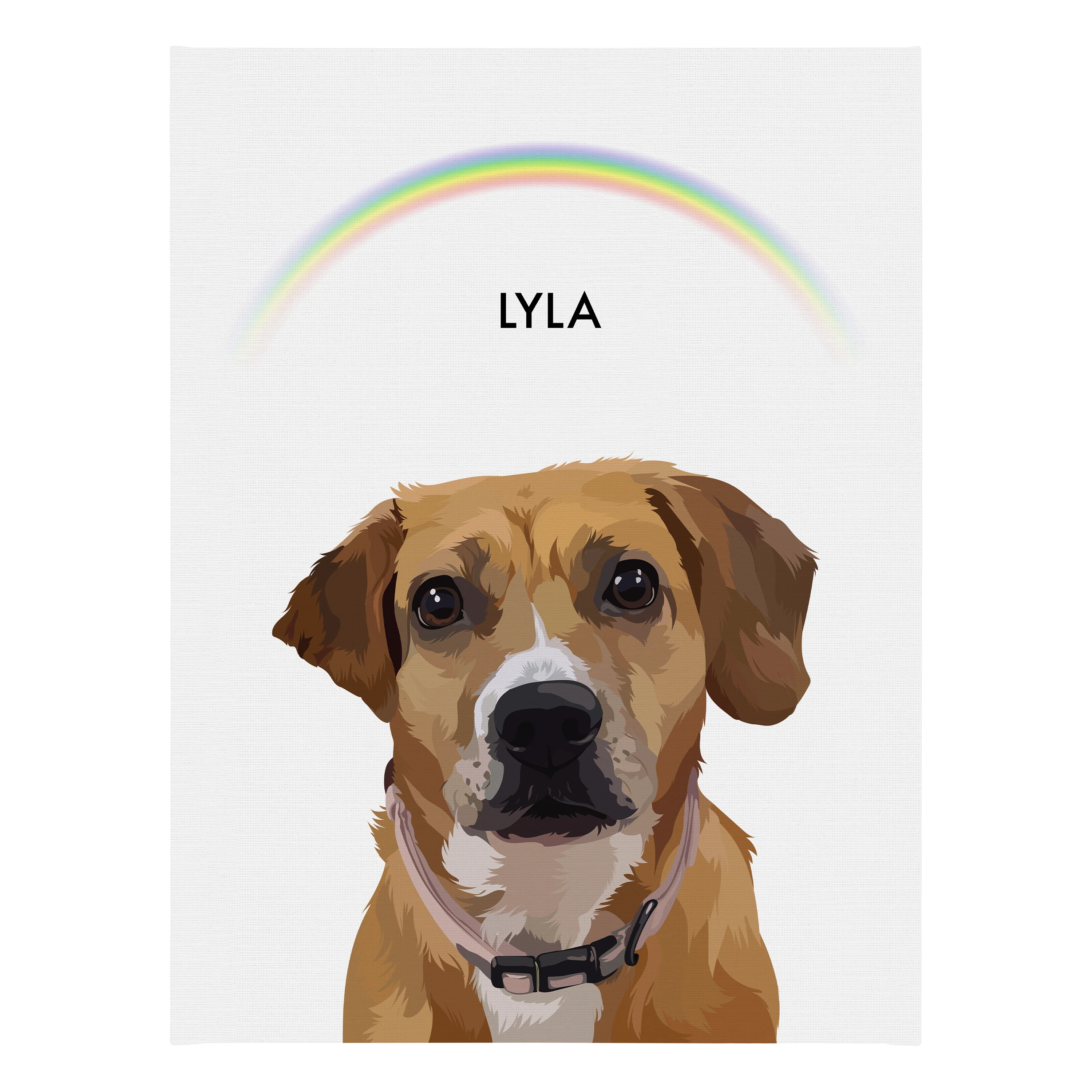 Product image 163