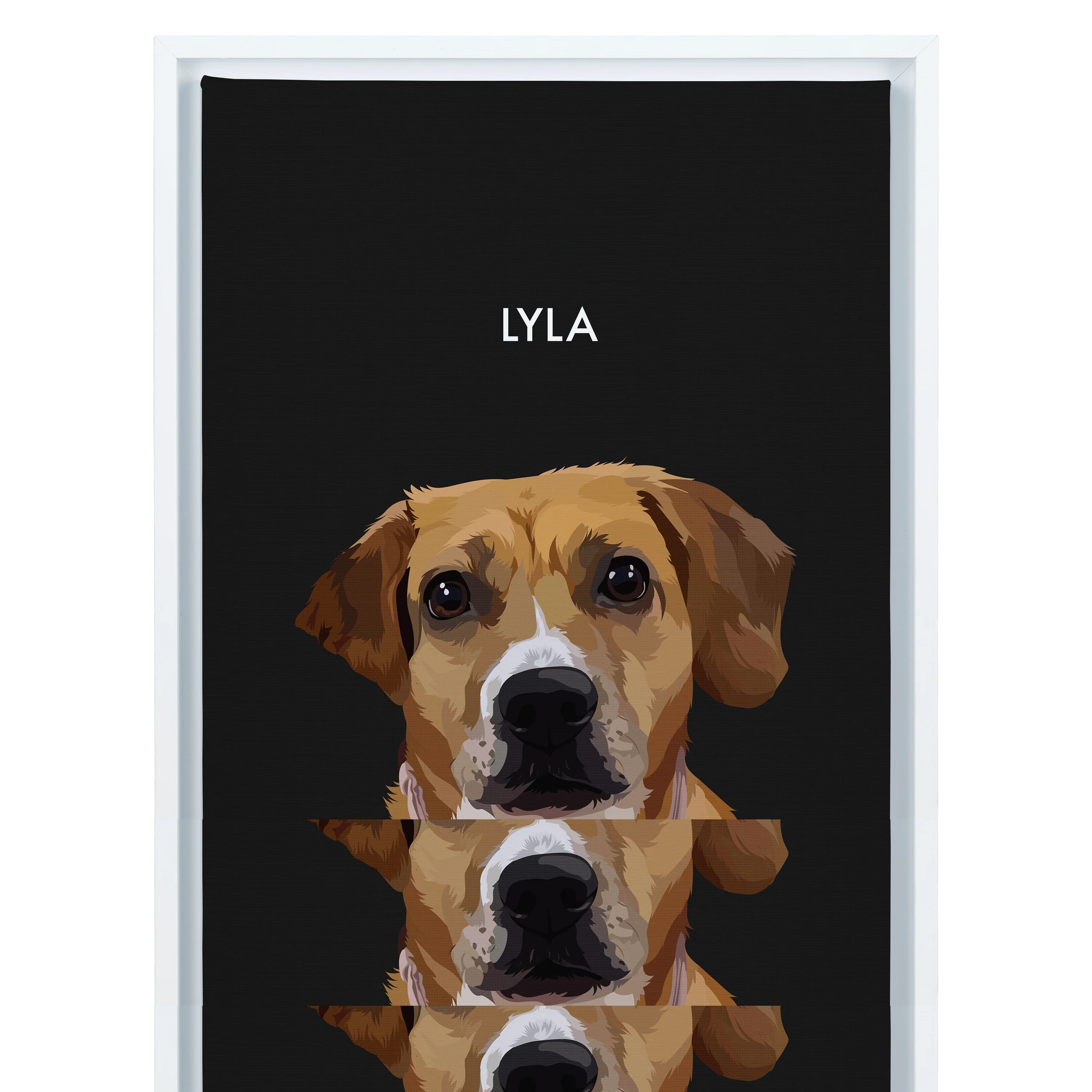 Product image 67