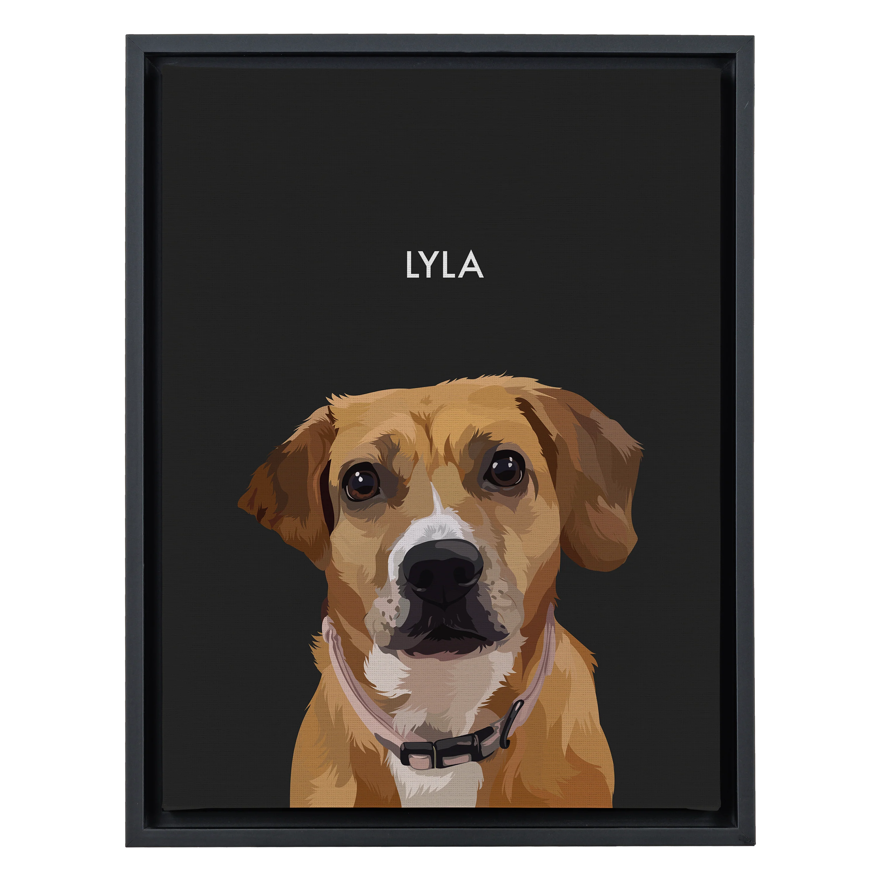 Product image 75